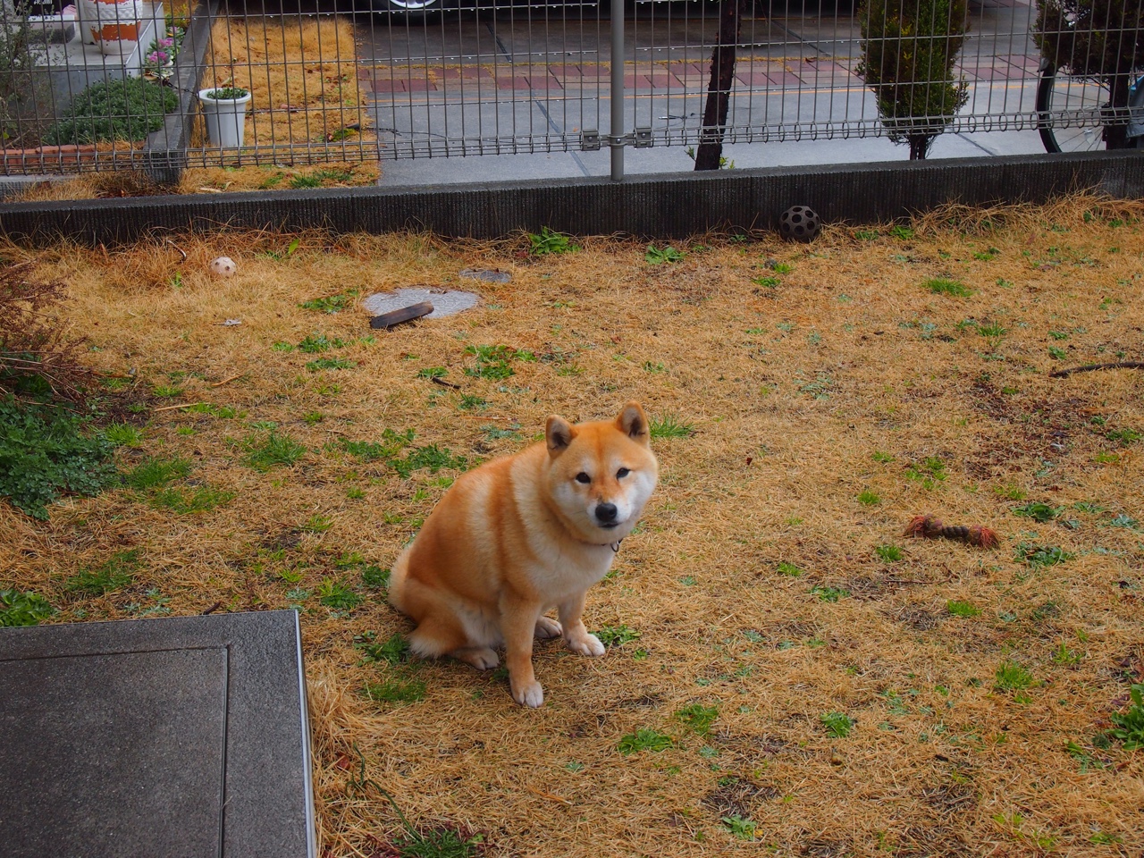 中超俱乐部青训贡献率统计，中超俱乐部青训排名