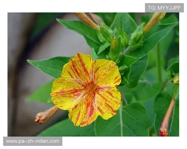 她夺冠后第一句话：我想吃炸鸡